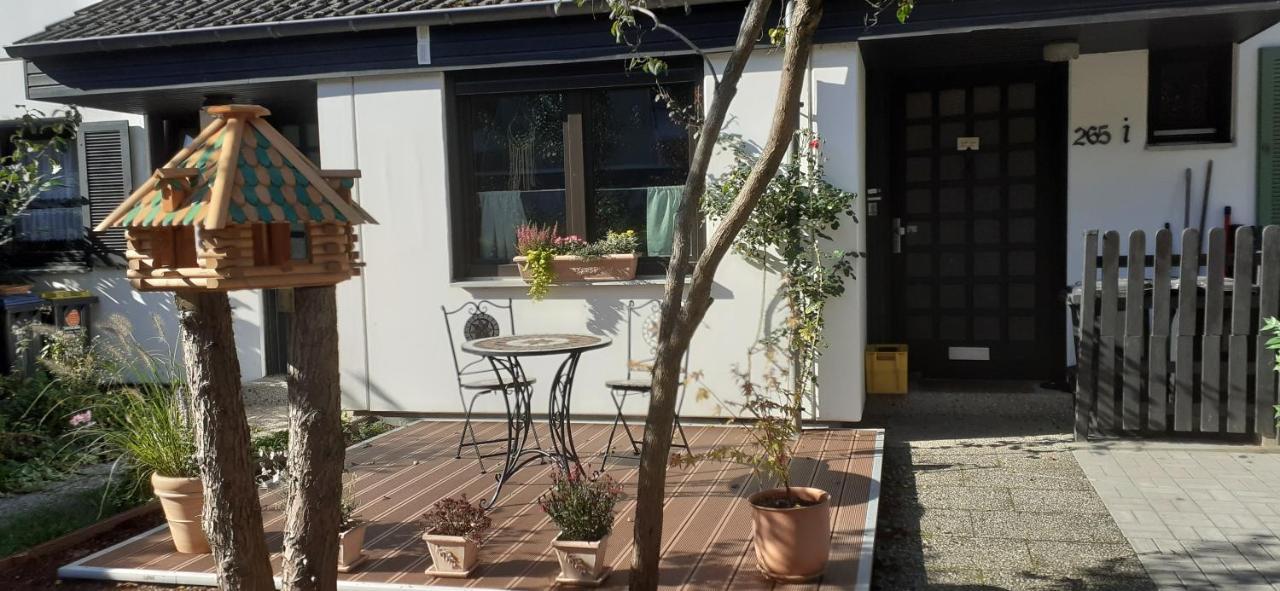 Muelheim, Schoenes Apartment, E-Werk, Palladium, Carlswerk, Messe, Lanxess-Arena 쾰른 외부 사진